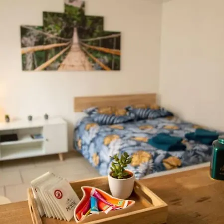 Apartment Cosy & Fun Face Aux Chateau Flechettes
