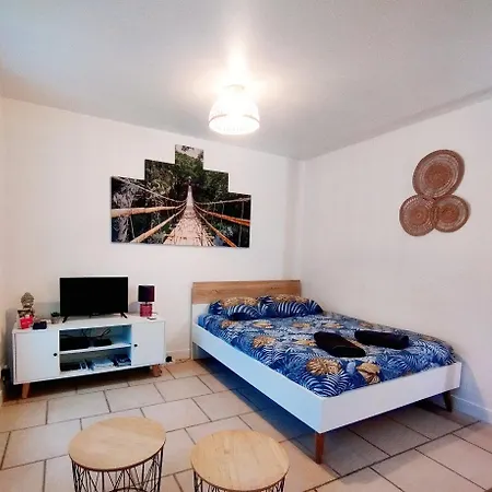 Apartamento studio cosy&fun face aux château fléchettes